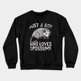 Just A Boy Who Loves Opossums Crewneck Sweatshirt